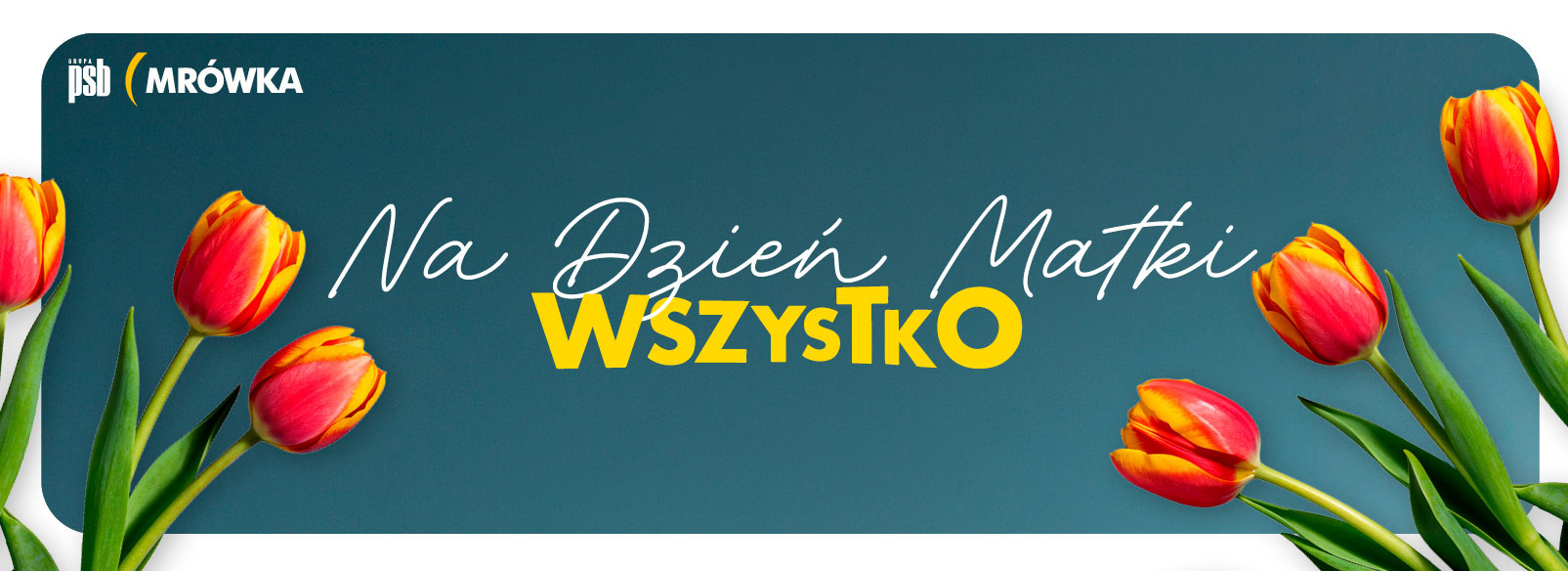 Grupa PSB mrowka PSB Mrówka Łask